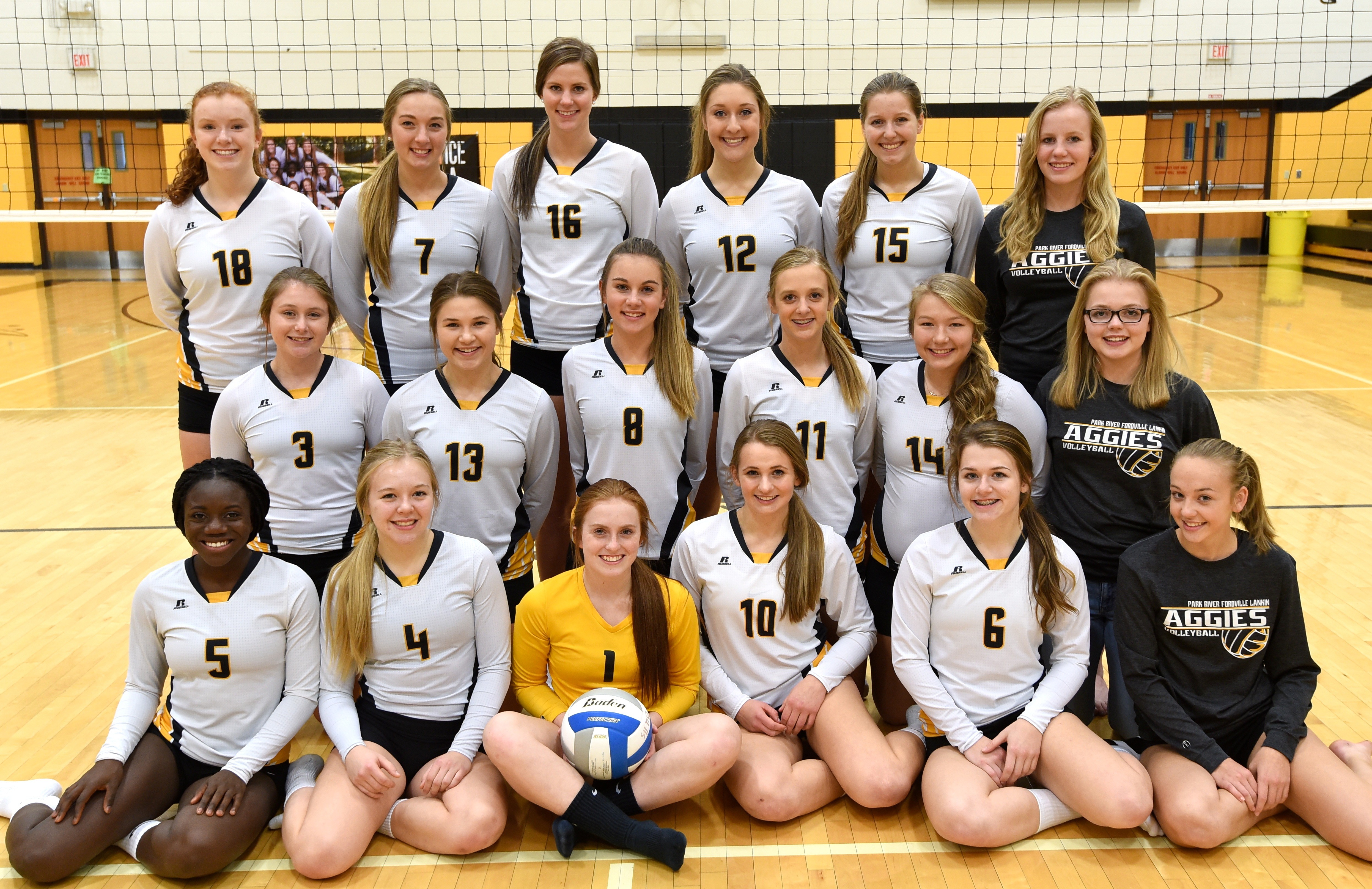 Ndhsaa Volleyball