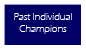 Link to Past Individual Champions Main page